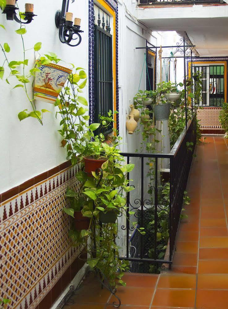 Pension Santa Maria La Blanca Севиля Екстериор снимка